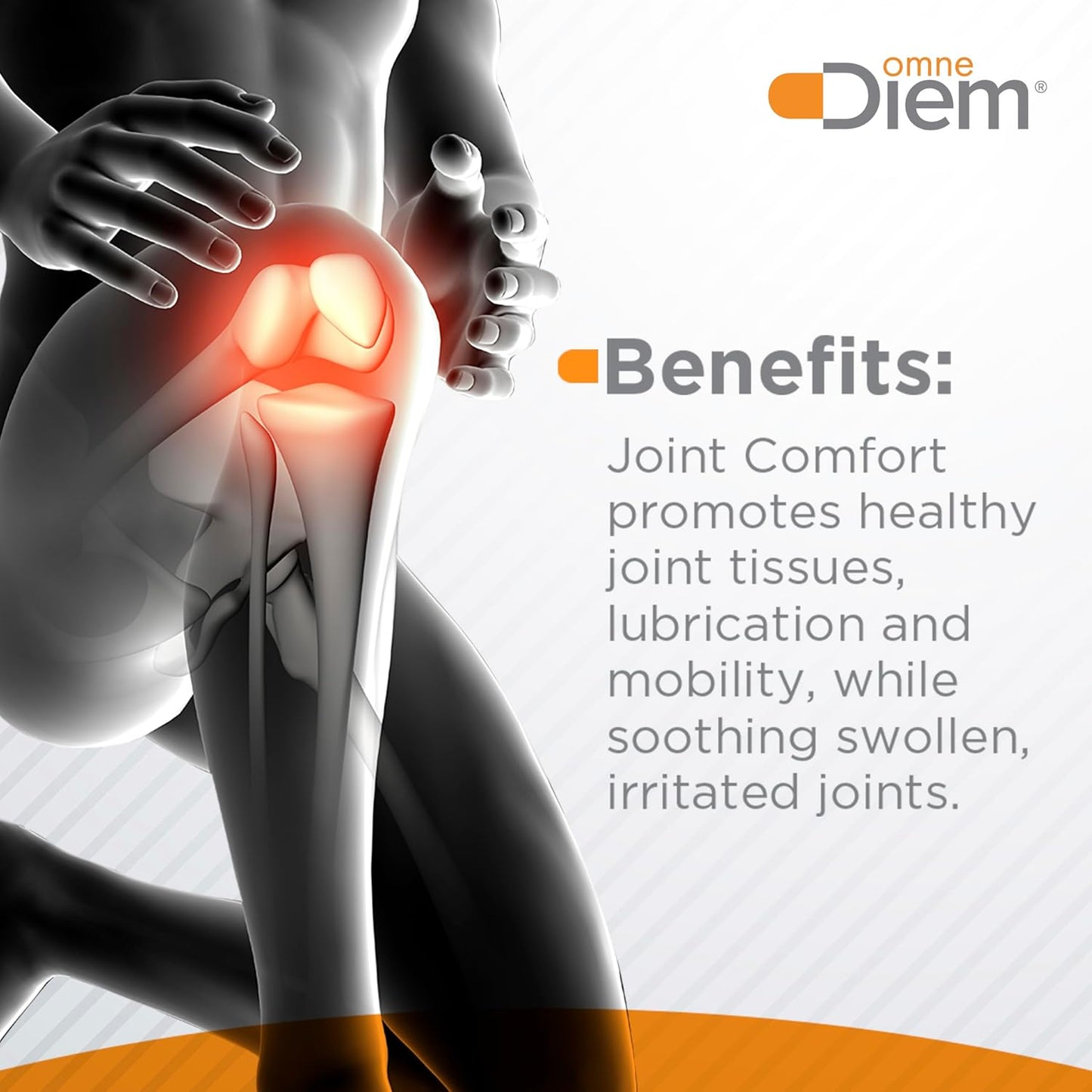 Joint Comfort with ZOARA, 60 Capsules S, BwP